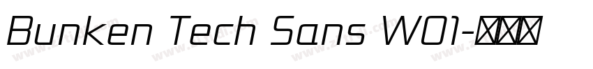 Bunken Tech Sans W01字体转换